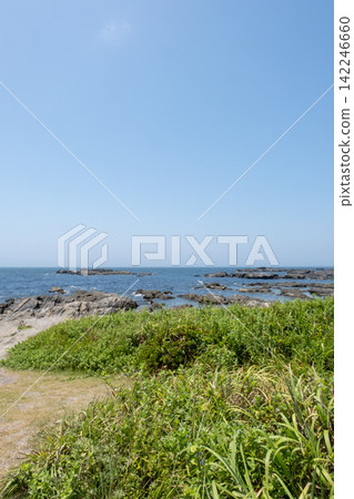 Summer grasses and rocky shore scenery on the coast of Jogashima, Miura City, Kanagawa Prefecture. Summer grasses and rocky shore scenery on the coast of Jogashima, Miura City, Kanagawa Prefecture. 142246660