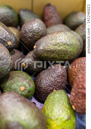Close-up of Hass avocados displayed in a supermarket. Close-up of Hass avocados displayed in a supermarket. 142246821