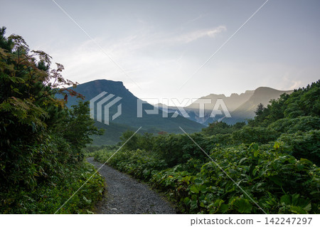 The way to the mountain The way to the mountain 142247297