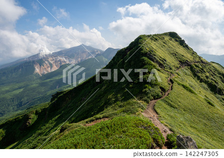 The way to the mountain 142247305