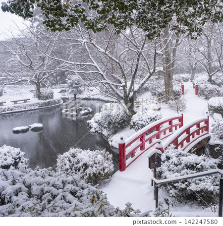 Snow scenery of Utsubuki Park Snow scenery of Utsubuki Park 142247580