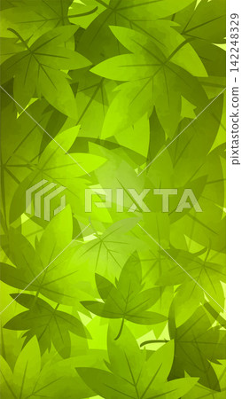 Illustration of fallen autumn leaves: ginkgo and maple leaves 142248329