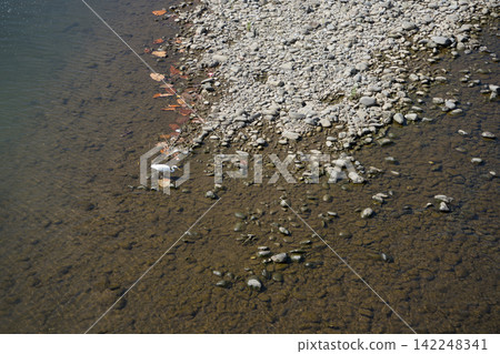 Riverside and White Birds 142248341