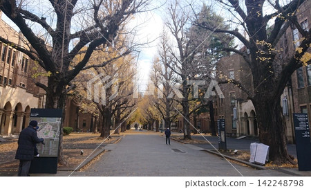 夕陽西下,照亮了大學校園。 夕陽西下,照亮了大學校園。 142248798