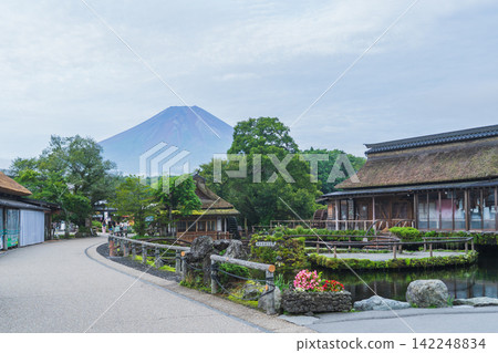 [Yamanashi Prefecture] Summer view of Mt. Fuji and Oshino Hakkai 142248834
