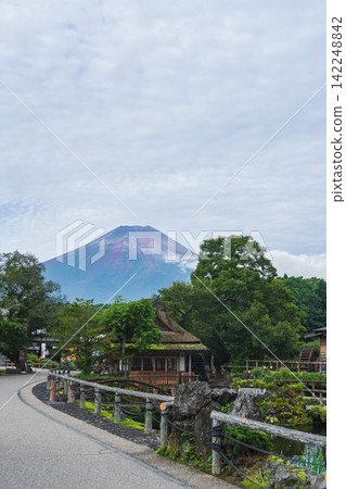 【山梨縣】富士山和忍野八海的夏日景色 142248842