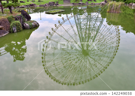 Ferris wheel reflected in the pond at Kasai Rinkai Park Ferris wheel reflected in the pond at Kasai Rinkai Park 142249038