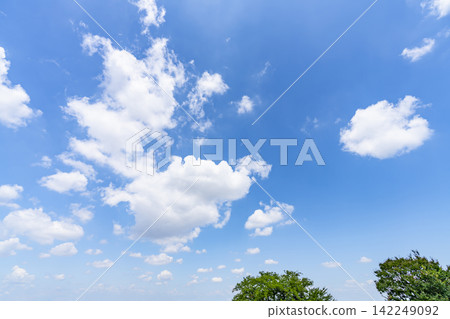 夏天藍天和雲彩和樹 142249092