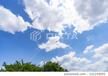 夏天藍天和雲彩和樹 142249093