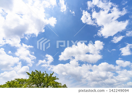 Summer blue sky and clouds and trees Summer blue sky and clouds and trees 142249094
