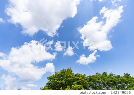 Summer blue sky and clouds and trees Summer blue sky and clouds and trees 142249096