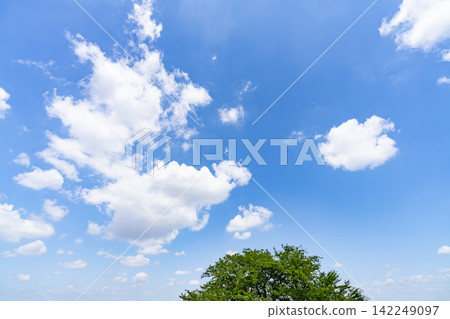 Summer blue sky and clouds and trees Summer blue sky and clouds and trees 142249097
