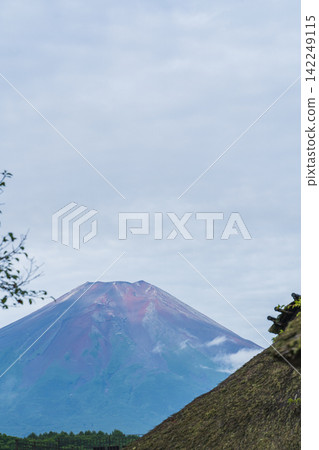 [Yamanashi Prefecture] Oshino Hakkai - Summer view of Mt. Fuji over thatched roofs 142249115