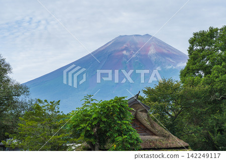 【山梨縣】忍野八海 - 夏日富士山茅屋景觀 142249117