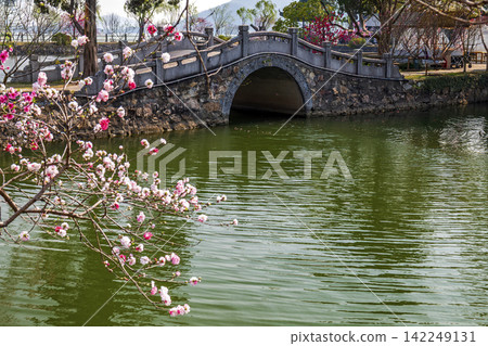 Spring scenery of Li Garden, classical Jiangnan garden in Wuxi, Jiangsu China Spring scenery of Li Garden, classical Jiangnan garden in Wuxi, Jiangsu China 142249131