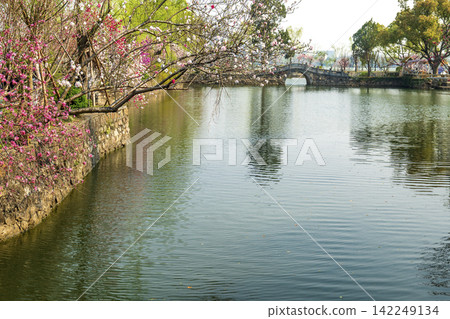 Spring scenery of Li Garden, classical Jiangnan garden in Wuxi, Jiangsu China Spring scenery of Li Garden, classical Jiangnan garden in Wuxi, Jiangsu China 142249134