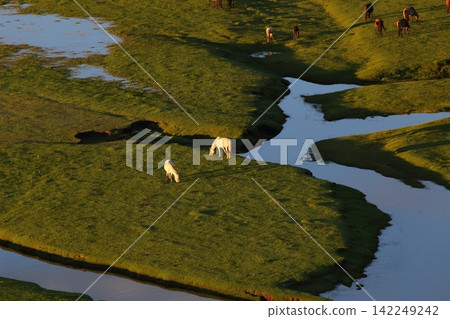 Horses grazing along a river near Karakorum, Mongolia. Horses grazing along a river near Karakorum, Mongolia. 142249242