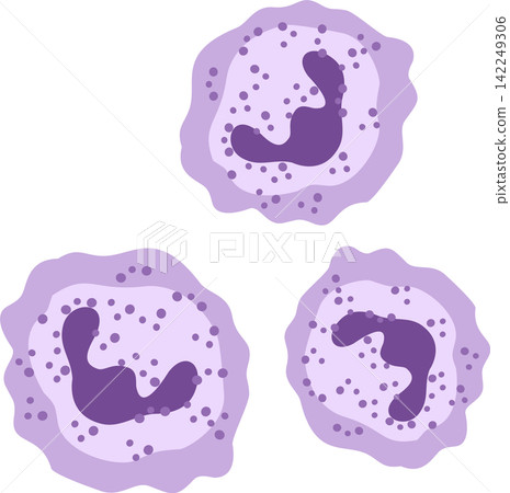 monocyte cell blood cell illustration 142249306