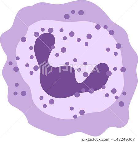 monocyte cell blood cell monocyte cell blood cell 142249307