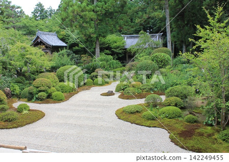 一個安靜的花園 142249455