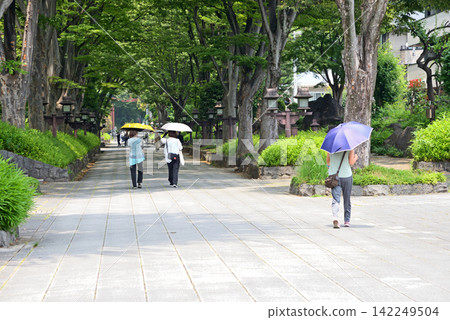 People walking along the approach to Omiya Hikawa Shrine, carrying parasols. People walking along the approach to Omiya Hikawa Shrine, carrying parasols. 142249504
