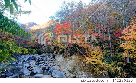 Namerikawa Valley, ablaze with autumn colors, Yonezawa City, Namerikawa 142250136