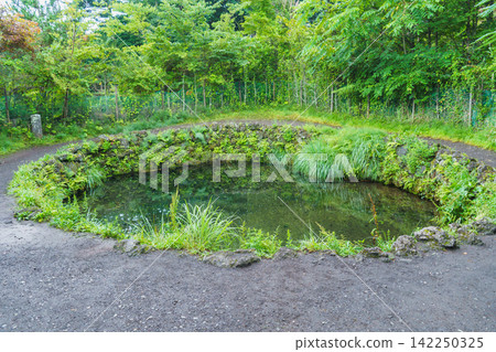 [Yamanashi Prefecture] Oshino Hakkai/Choshiike 142250325