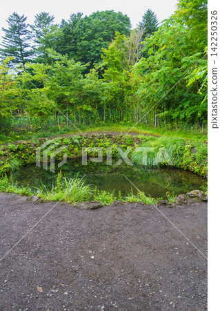 [Yamanashi Prefecture] Oshino Hakkai/Choshiike 142250326