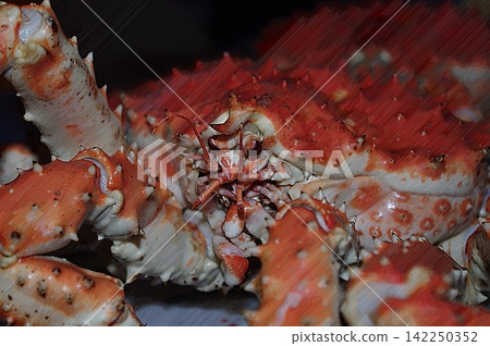 CG圖像,粉彩風格,帝王蟹(塔拉巴蟹2) CG圖像,粉彩風格,帝王蟹(塔拉巴蟹2) 142250352