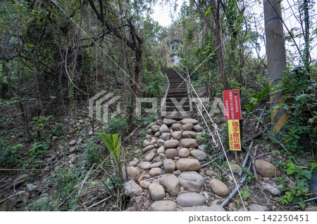 台灣第35座小山峰火岩山登山路線沿途風景。 142250451