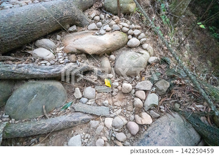 台灣第35座小山峰火岩山登山路線沿途風景。 台灣第35座小山峰火岩山登山路線沿途風景。 142250459