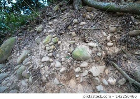 台灣第35座小山峰火岩山登山路線沿途風景。 台灣第35座小山峰火岩山登山路線沿途風景。 142250460