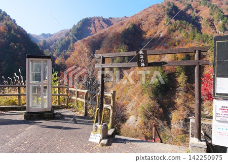 Autumn at the Hakusan Shirakawa-go White Road: Entrance to Hebi-dani Park Autumn at the Hakusan Shirakawa-go White Road: Entrance to Hebi-dani Park 142250975
