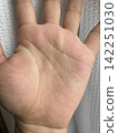 Palm 142251030