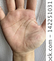 Palm 142251031
