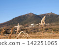 Mt. Tsukuba in winter 142251065