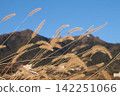 Withered grass and Mount Tsukuba 142251066