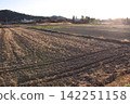 Winter field 142251158