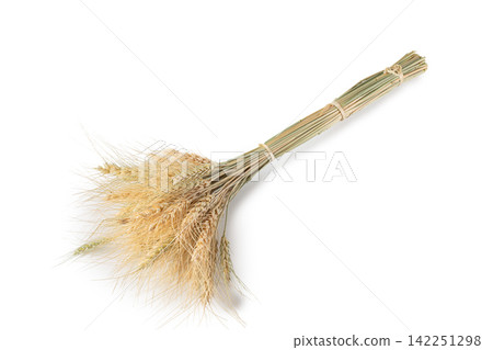 Ear of rye bundle isolated on a transprent background 142251298