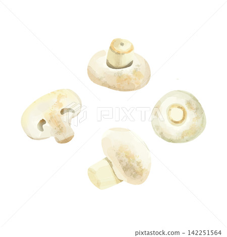 Watercolor-style white mushrooms, one whole and half. Watercolor-style white mushrooms, one whole and half. 142251564