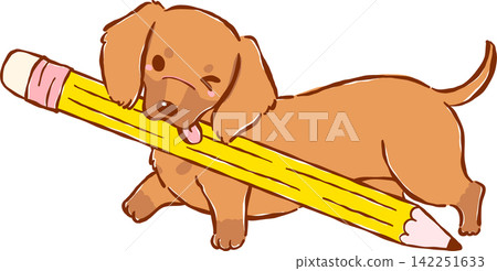 Cute Dachshund Back to School Dog Holding Pencil Cartoon Hand Drawn Cute Dachshund Back to School Dog Holding Pencil Cartoon Hand Drawn 142251633