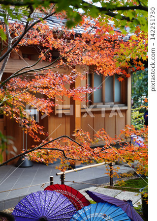 A garden adorned with Japanese umbrellas and autumn leaves A garden adorned with Japanese umbrellas and autumn leaves 142251730