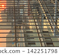 夕陽反射在建築物的窗戶上 142251798