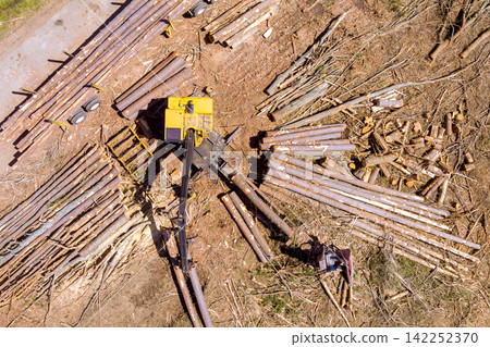 Machine cuts processes logs in forest clearing where trees have been removed. Machine cuts processes logs in forest clearing where trees have been removed. 142252370