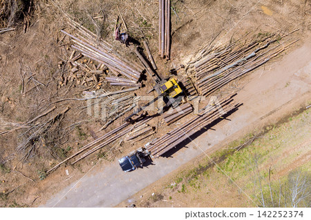 Workers operate heavy machinery to cut sort logs beside dirt road in forested landscape. Workers operate heavy machinery to cut sort logs beside dirt road in forested landscape. 142252374