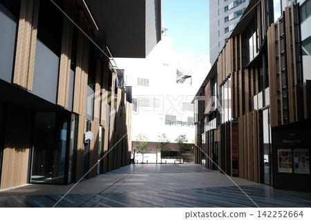 Pedestrian walkways in modern architecture: wooden facades and urban landscapes Pedestrian walkways in modern architecture: wooden facades and urban landscapes 142252664
