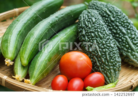 一籃從自家花園新鮮採摘的夏季蔬菜(八月)。 一籃從自家花園新鮮採摘的夏季蔬菜(八月)。 142252697