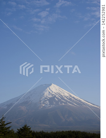 春天,富士山被白雪覆蓋。 春天,富士山被白雪覆蓋。 142252981