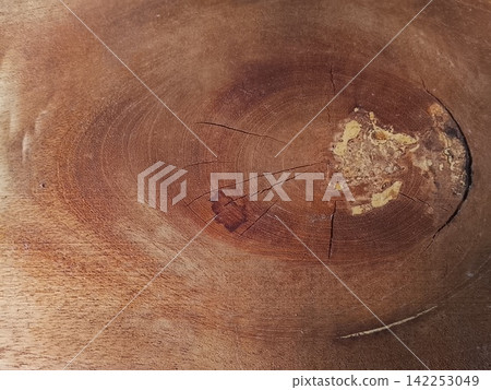 Cross Section of Tree Trunk with Growth Rings and Cracks Cross Section of Tree Trunk with Growth Rings and Cracks 142253049