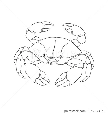 Black and White Crab Illustration Black and White Crab Illustration 142253140